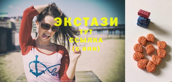 индика Сатка