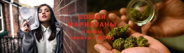 PSILOCYBIN Пересвет