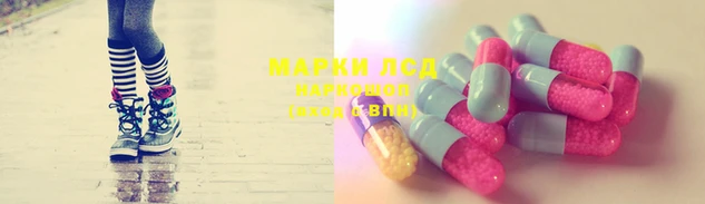 индика Сатка
