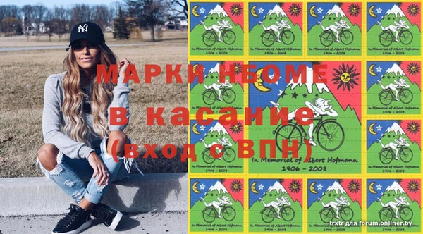 индика Сатка