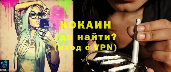 индика Сатка
