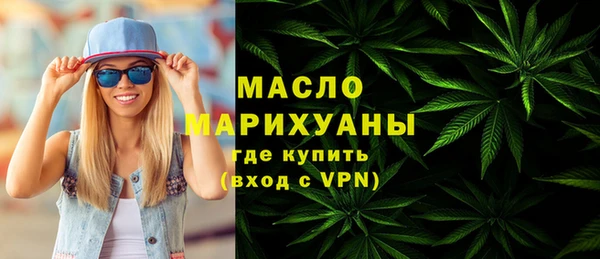 индика Сатка