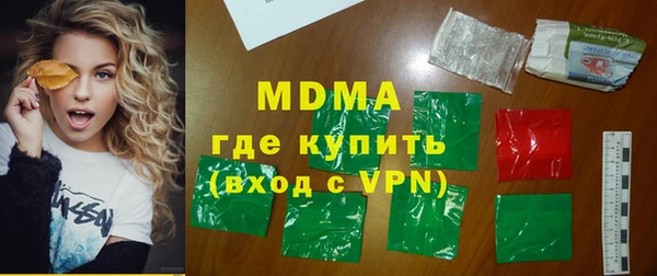 индика Сатка