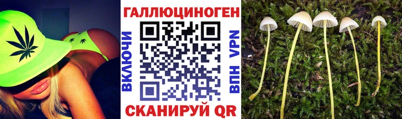 Галлюциногенные грибы MAGIC MUSHROOMS  где можно купить наркотик  даркнет формула  Адыгейск 